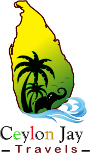 Ceylon Jay Travels